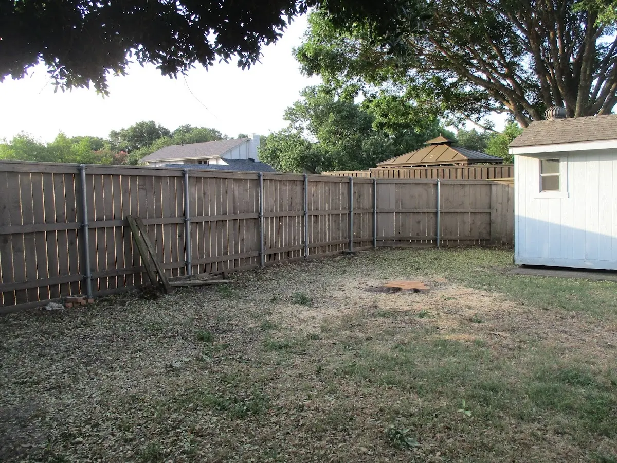 Cleared yard after professional tree removal in Morristown